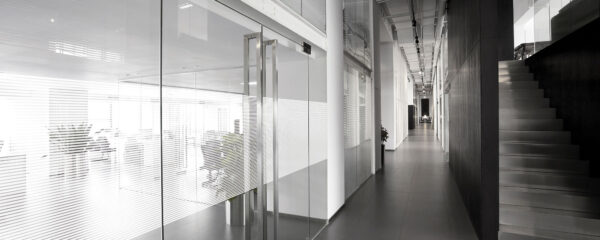 Pellicola Linea 10